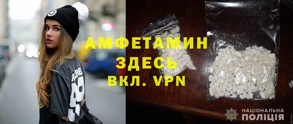 шишки Богородицк
