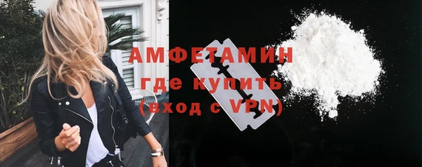 шишки Богородицк