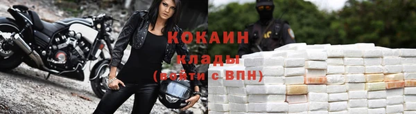шишки Богородицк