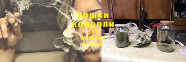 прущая мука Богданович