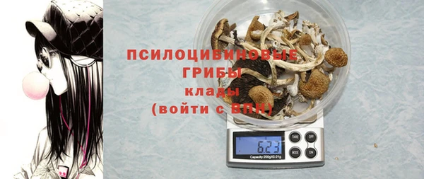 прущая мука Богданович