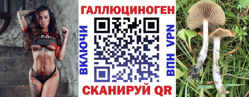 Галлюциногенные грибы GOLDEN TEACHER  Бийск 